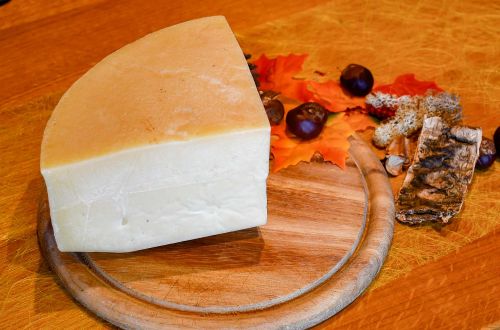 hocheggerkaese69590A41-8AA0-BB6E-6CBE-1948BA6E52CC.jpg